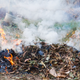 Illustration for article titled Florida man burns pile of weed in yardem/em